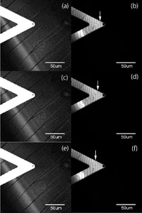 LCM-DIM/AFM_KDP